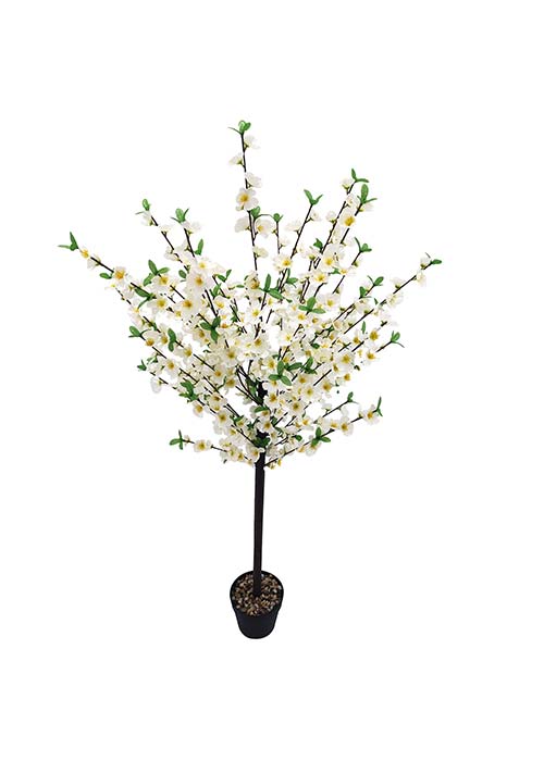 Arbol Duraznero 1.35 mts
