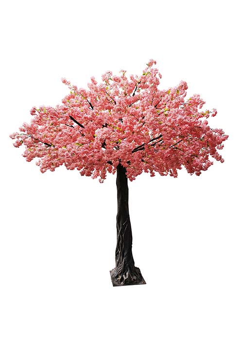 Arbol ramificado 3 mts