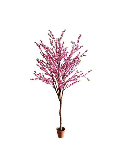 Arbol Duraznero 2.80mts